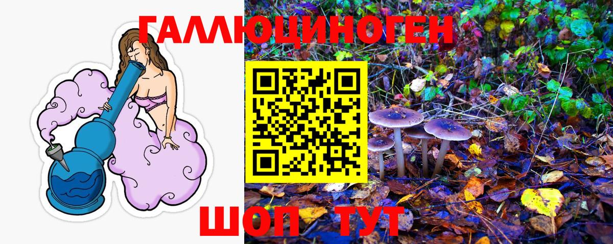 Галлюциногенные грибы мухоморы Екатеринбург