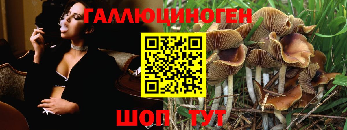 Галлюциногенные грибы Psilocybe  Вход с VPN  Екатеринбург 